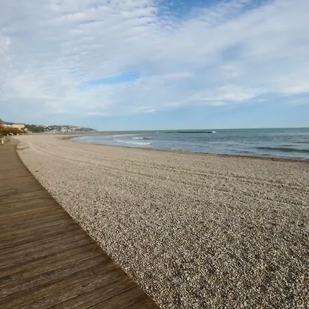 Pepita * Benicassim